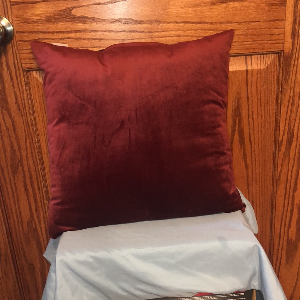 NEW LISTING!  2Pc Velour Throw Pillow Set - Picture 5 of 7